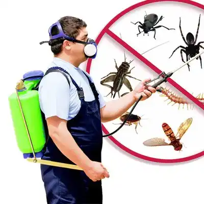pest control Pequot Lakes